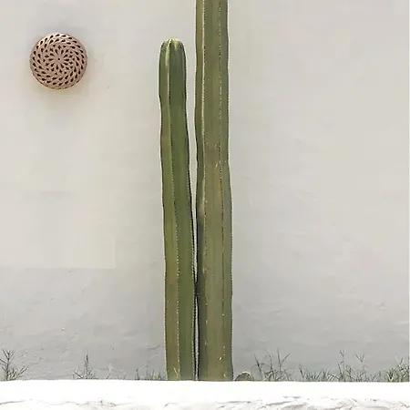 Dar Al Murad : Maison, Un Coin De Paradis